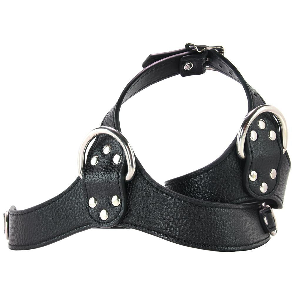 Female Chest Harness in Black - Sex Toys Vancouver Same Day Delivery