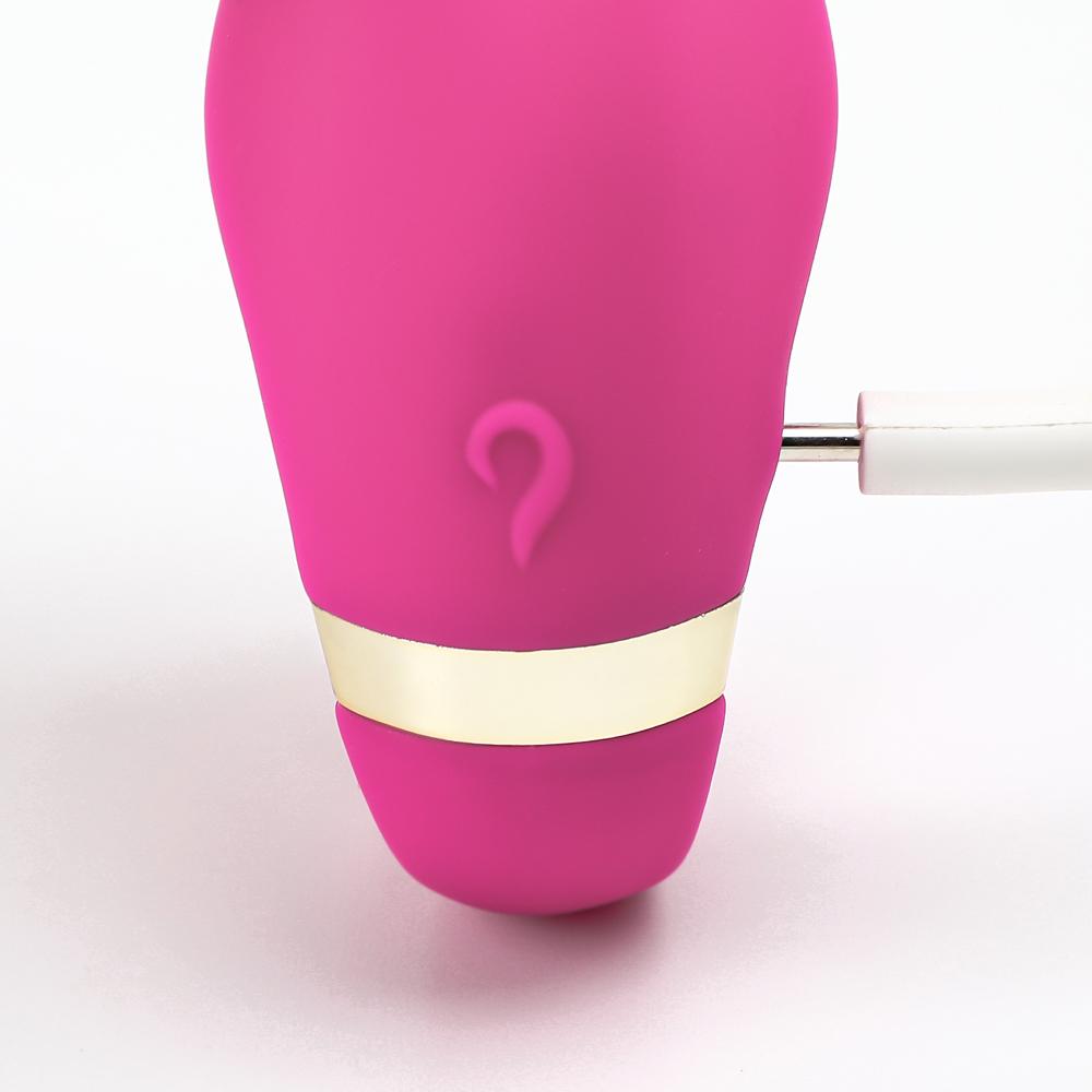 Remote Control Pink Color 9 Speeds Rechargeable Silicone Vibrators for Couples - Sexy.Delivery Sex Toys Delivery